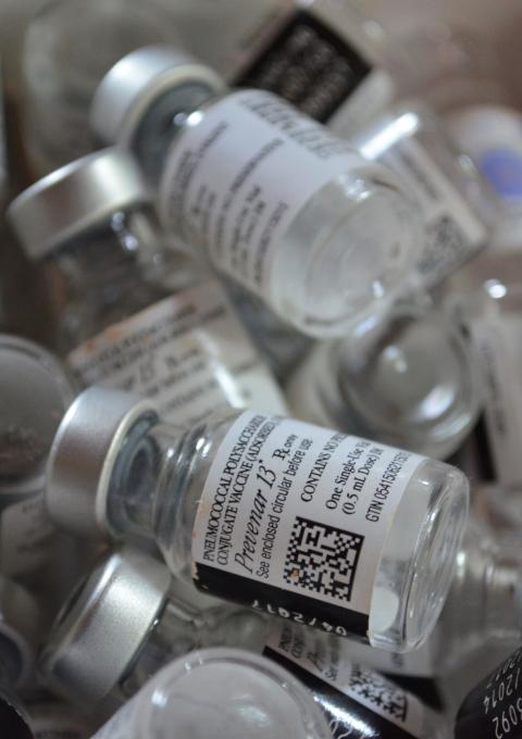 Photograph by Sandra Smiley